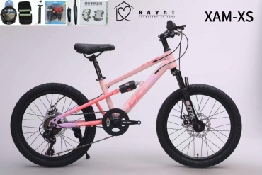 Велосипед Велосипед Hayat XAM-XS 2026 20 дюймов розовый
