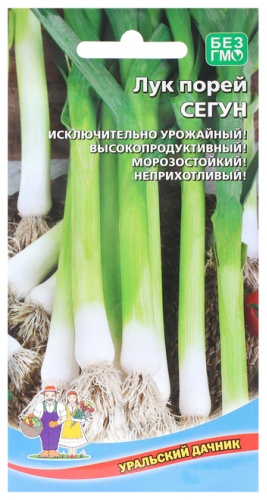 Уральский дачник лук Порей Сегун
