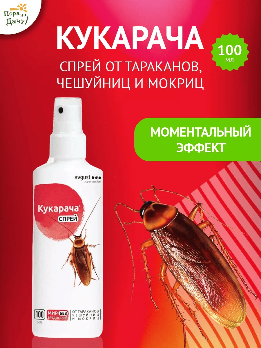 Спрей AVGUST 9614622