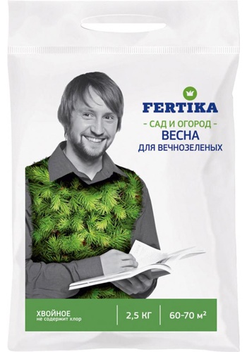 хвойное весна - лето для вечно зеленых и голубики