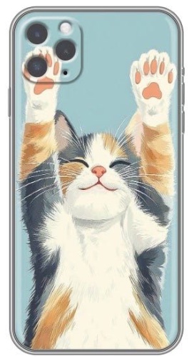 Чехол для Apple iPhone 11 Pro рисунок