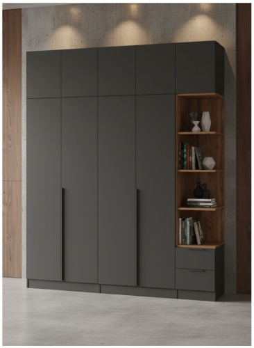 Распашной шкаф Oner W-02, 200x250х50 см, коричневый, антрацит