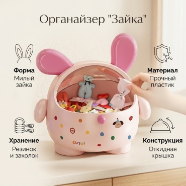 Органайзер пластик
