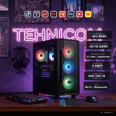 Tehnicom R5 5600 / B580 12 Гб / 64 Гб / 2000 Гб HDD+SSD 256 Гб / Win 11 Pro