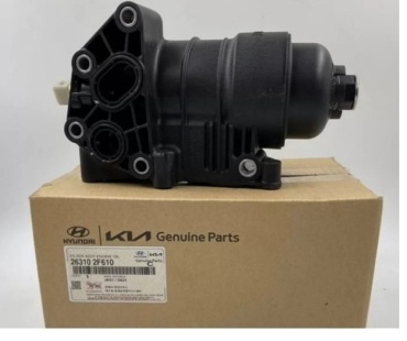 Hyundai корпус 263102F600