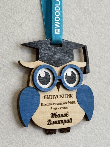 WoodLab сувенир Woodlab Медаль Сова мальчик
