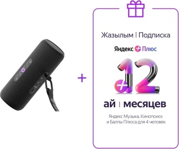 Яндекс Станция Стрит с Алисой черный + подарок