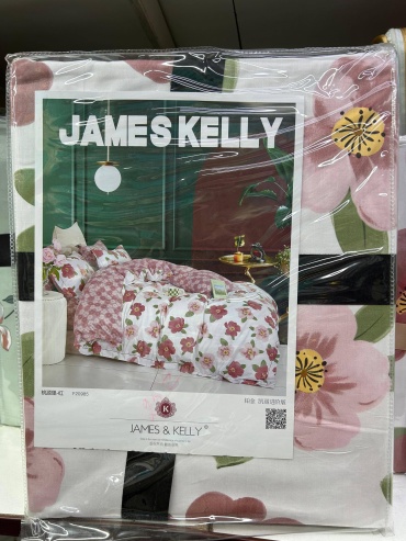 Комплект JAMES KELLY Planitum Kelly семейный хлопок, сатин, 2 наволочки: 48x74 см