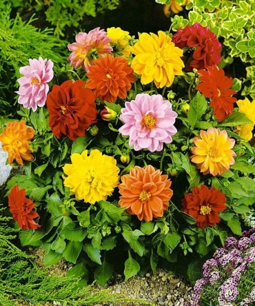 Фото 6