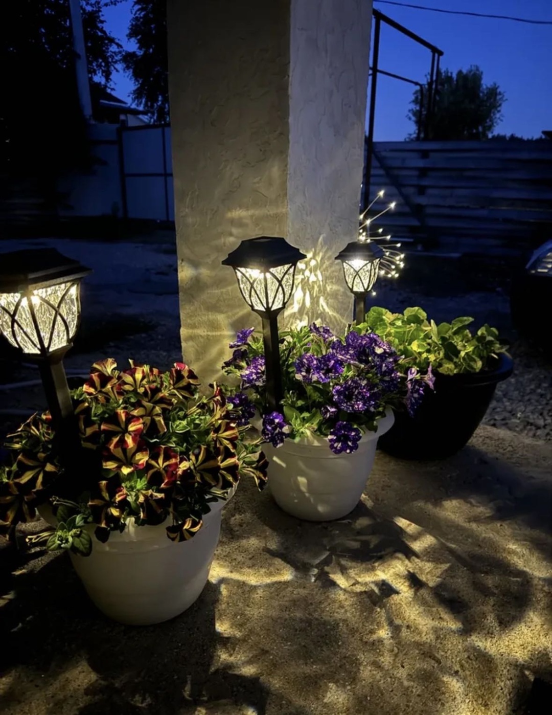 Фото 8