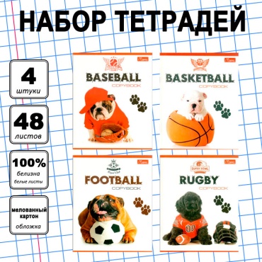 Набор общих тетрадей Magister Doggy, 48 л, А5+, клетка, мягкая обложка, 4 шт