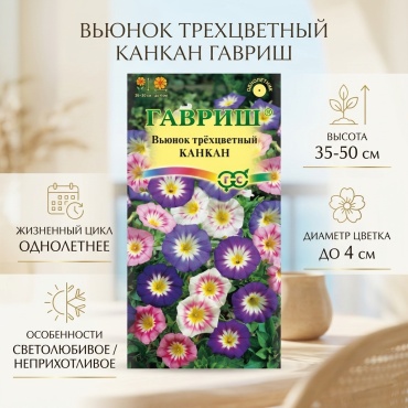 Гавриш Вьюнок трехцветный Канкан