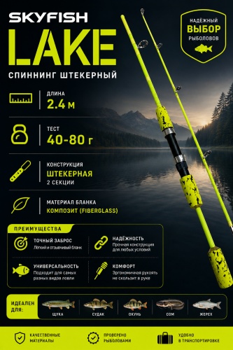 Спиннинг Lake 2.4 м 40-80 г штекерный