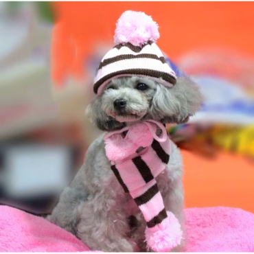 PET комплект НР розовый M