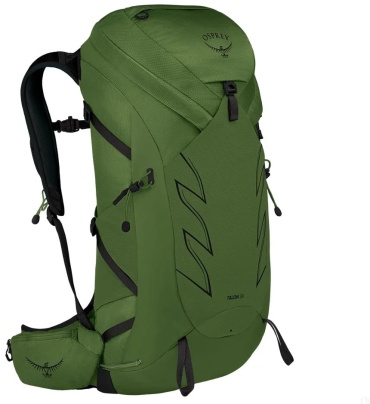 Osprey Talon 36 10005813 мультиспортивный 36 зеленый