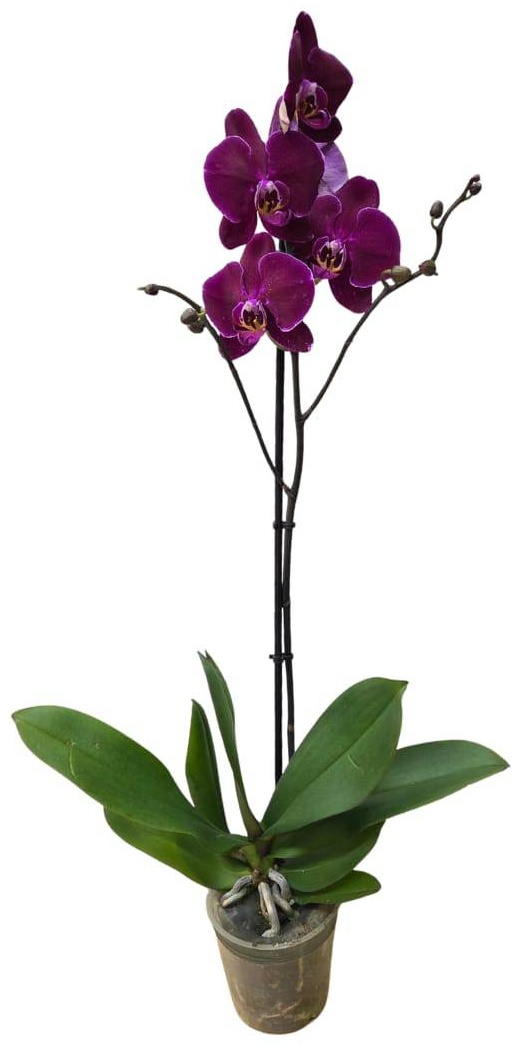 Фото 2