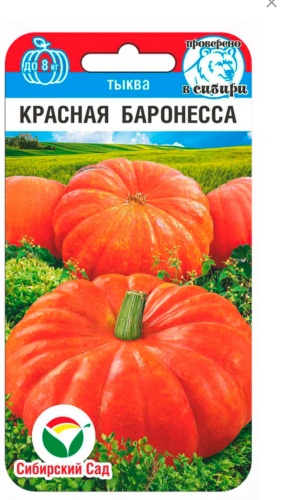 Сибирский сад тыква Красная баронесса