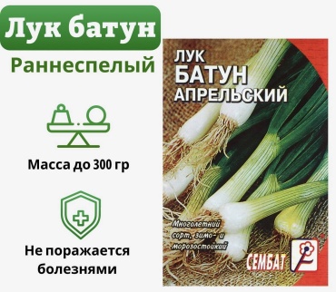 Сембат лук БАТУН АПРЕЛЬСКИЙ