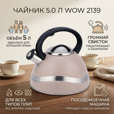WOW чайник 2139 5 л, нержавеющая сталь, эмаль