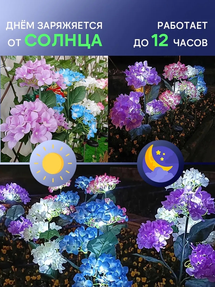 Фото 3