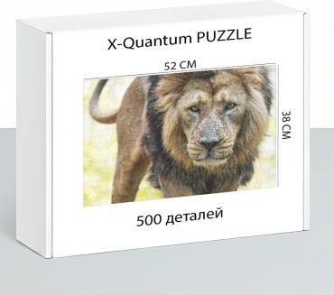 X-Quantum puzzle_rh4cbs6y5e классический 500 деталей