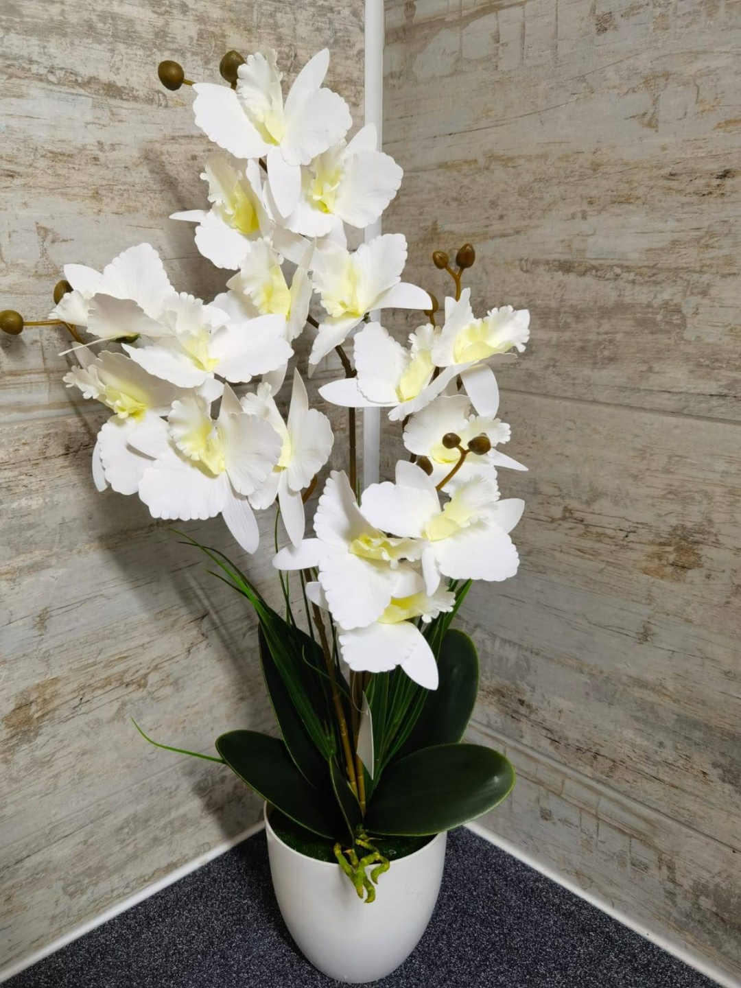 Фото 2