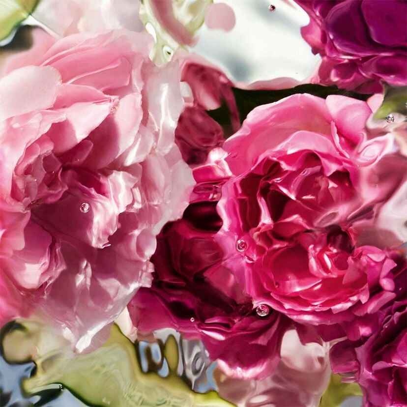 Фото 9