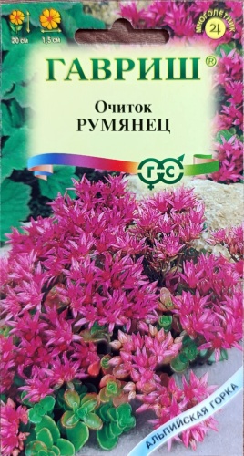 Гавриш очиток Румянец