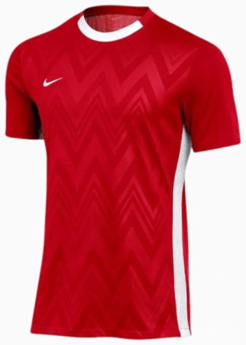 Футболка Nike NK DF CHALNG V JSY SS красный