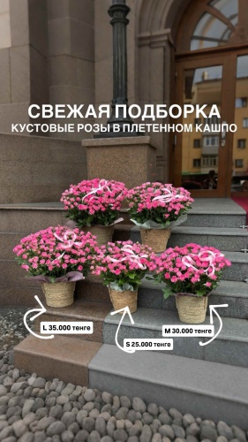 Композиция с открыткой кустовая роза 15 шт 40 см