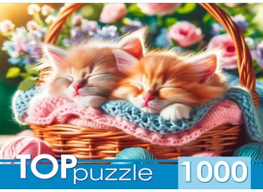 TopPuzzle Два котенка в корзинке классический 1000 деталей
