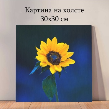 Quantum картина Растения и цветы 30x30 см