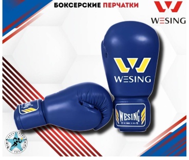 Боксерские перчатки WESING 10 oz синий