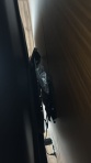 Фото покупателя