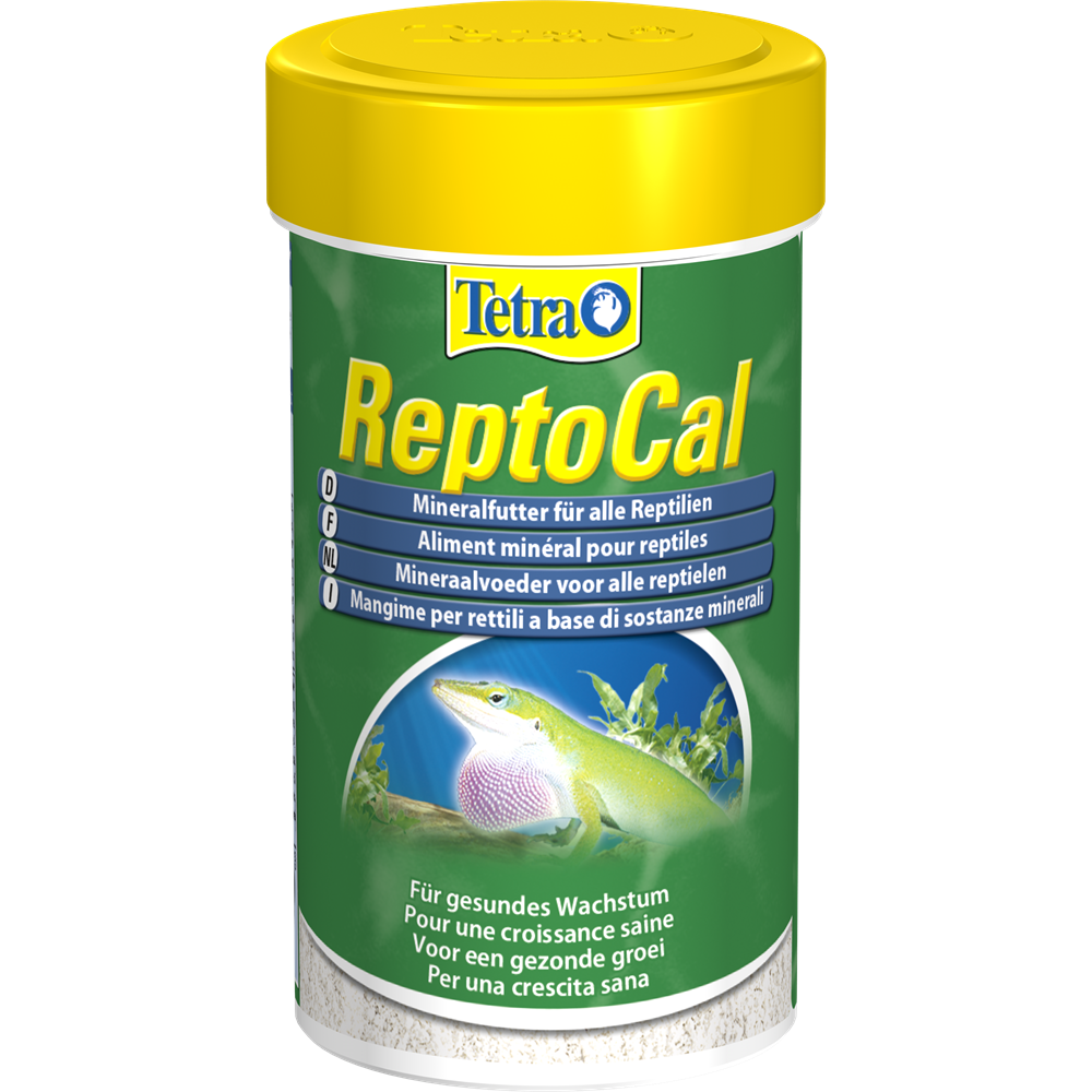 Корм для ящериц. Tetra REPTOCAL. Сухой корм Tetra REPTOCAL для рептилий. Кальций рептокал для рептилий. Reptolife витамины для рептилий.