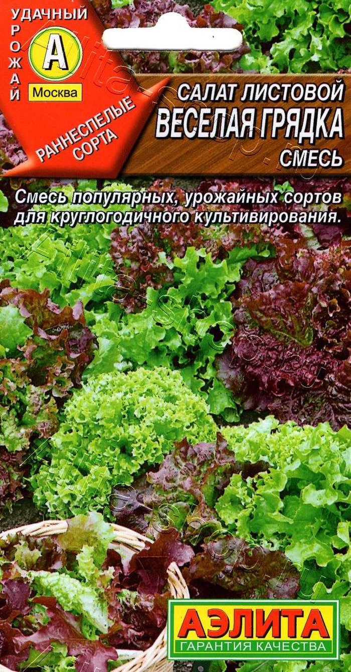 Смесь салатов листовых ранних сортов разных форм и окраски