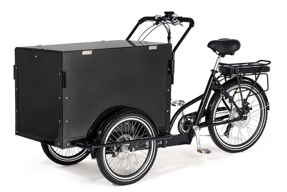 E Cargo Aist 250 w