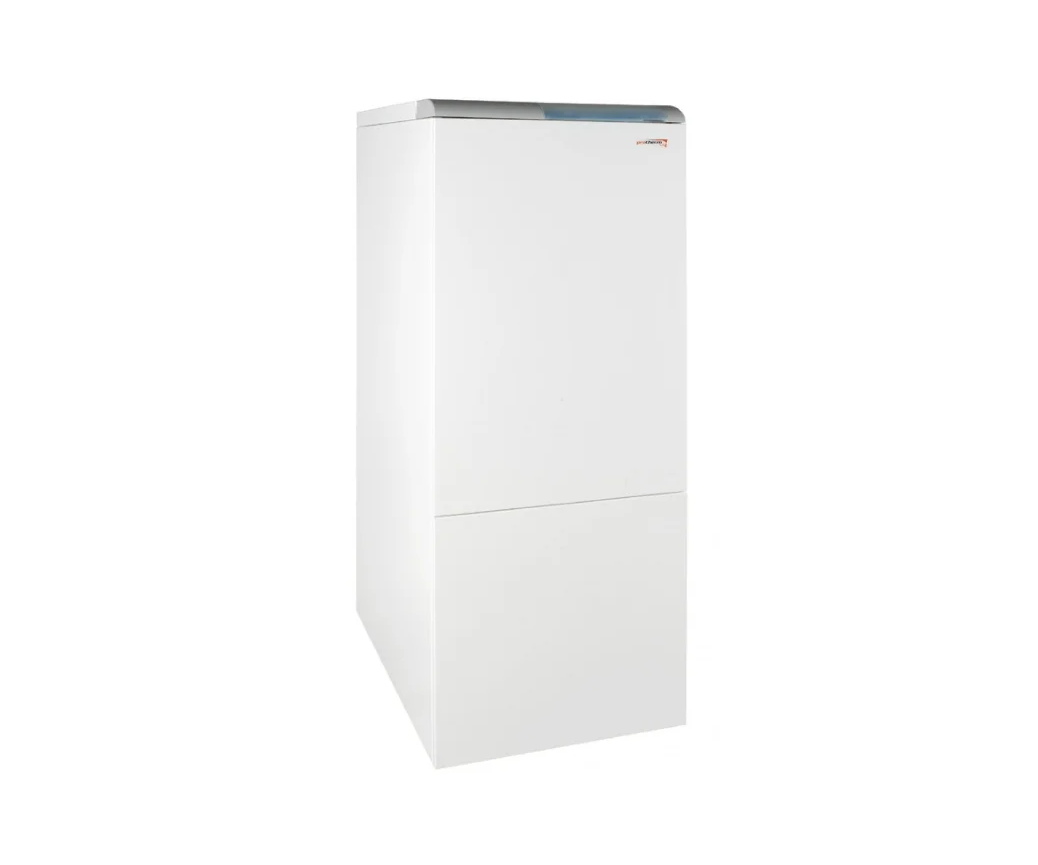 Купить Газовый Котел Protherm Медведь