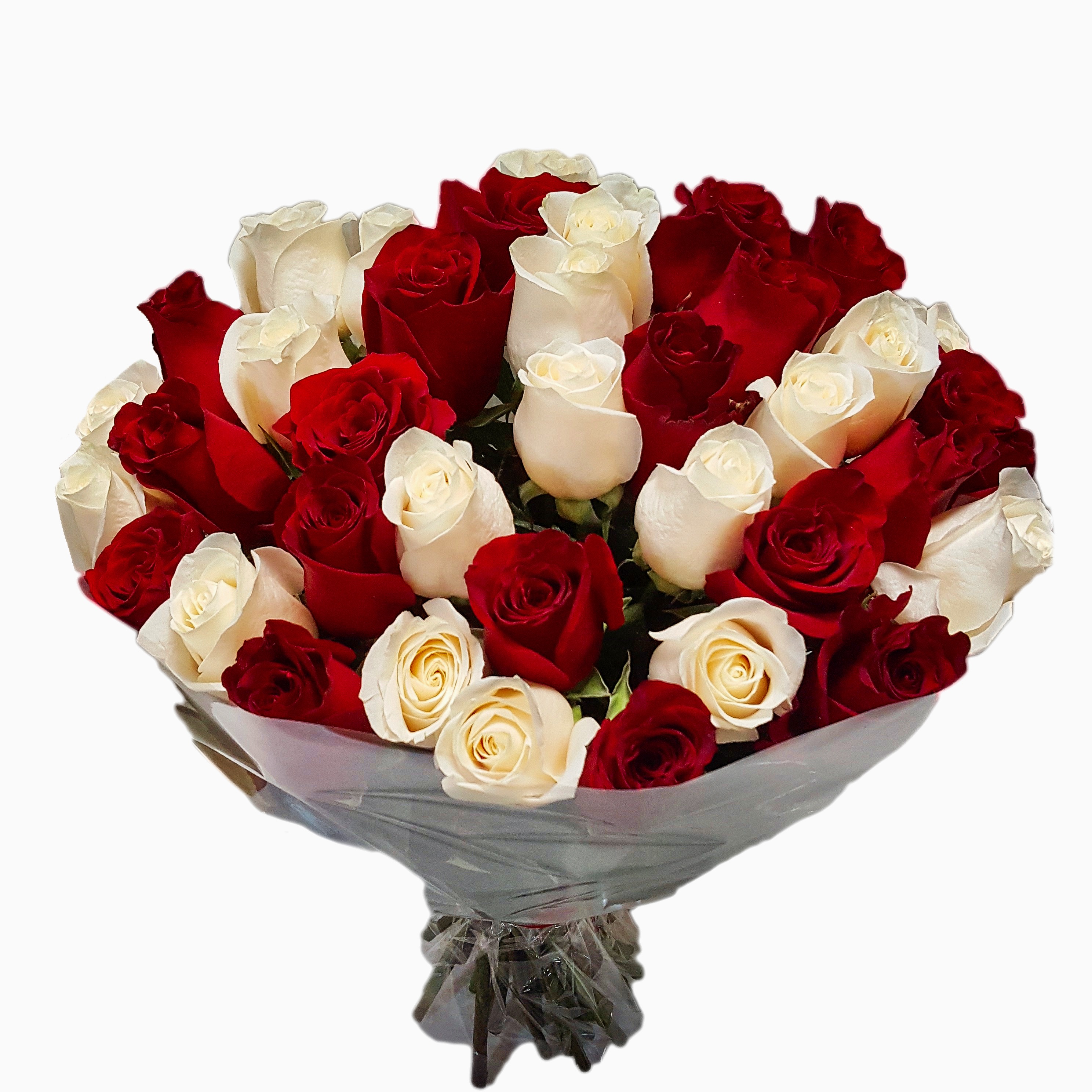 Купить розы в ставрополе. Букет из красных роз и белых роз 25. Букет красно белых роз 25 шт. Букет из белых и красных роз. Букет изкрасныз и белых роз.