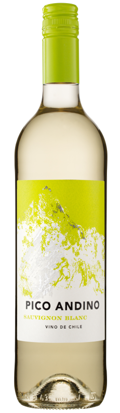 Santa carolina вино. Carolina вино. Селлар селекшн совиньон блан чили. Вино coralina sauvignon blanc белое. Вино carolina reserva.