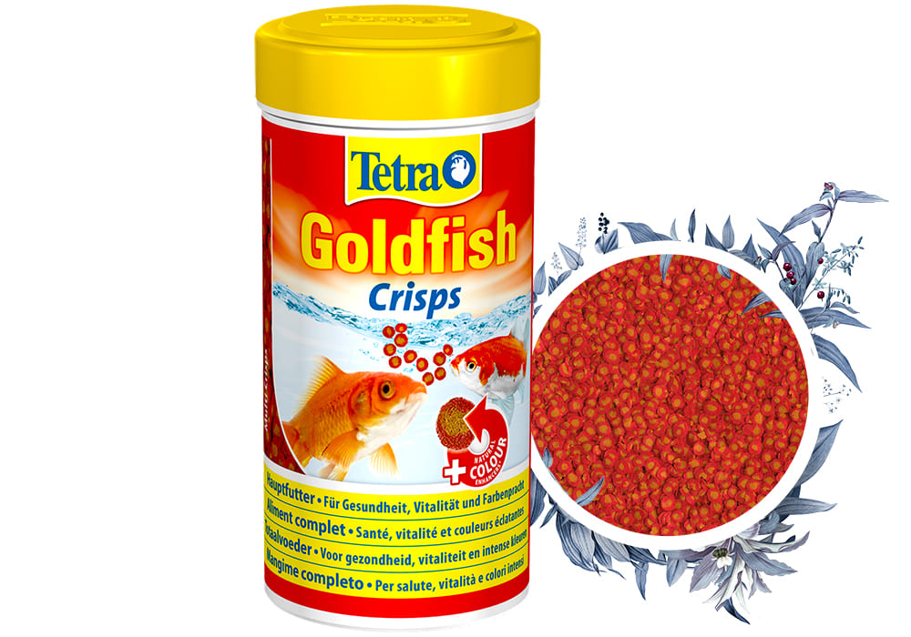 Тетра буква. Корм для рыб Tetra Goldfish. Сухой корм Tetra Goldfish Pro для рыб. Корм тетра для золотых рыбок аквариумных. Банка корма для рыб тетра.