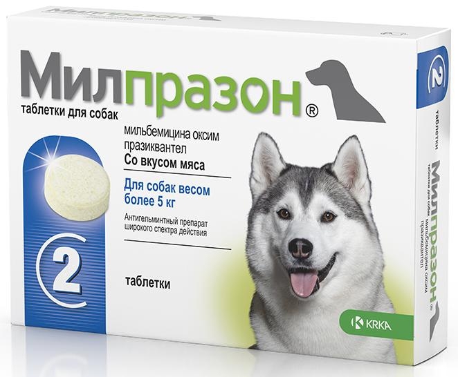 Купить KRKA Милпразон для собак от блох, от клещей, от гельминтов в ...