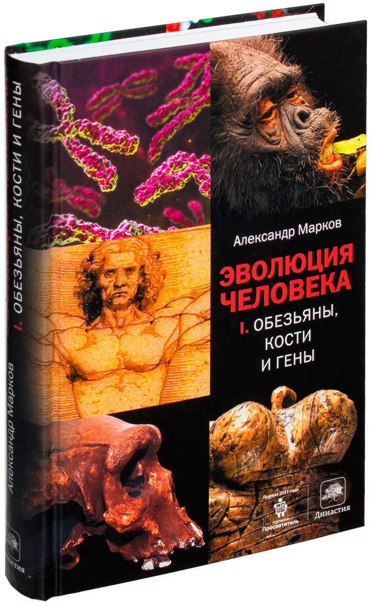 Купить Мошков Новая Теория Эволюции Человека Лабиринт