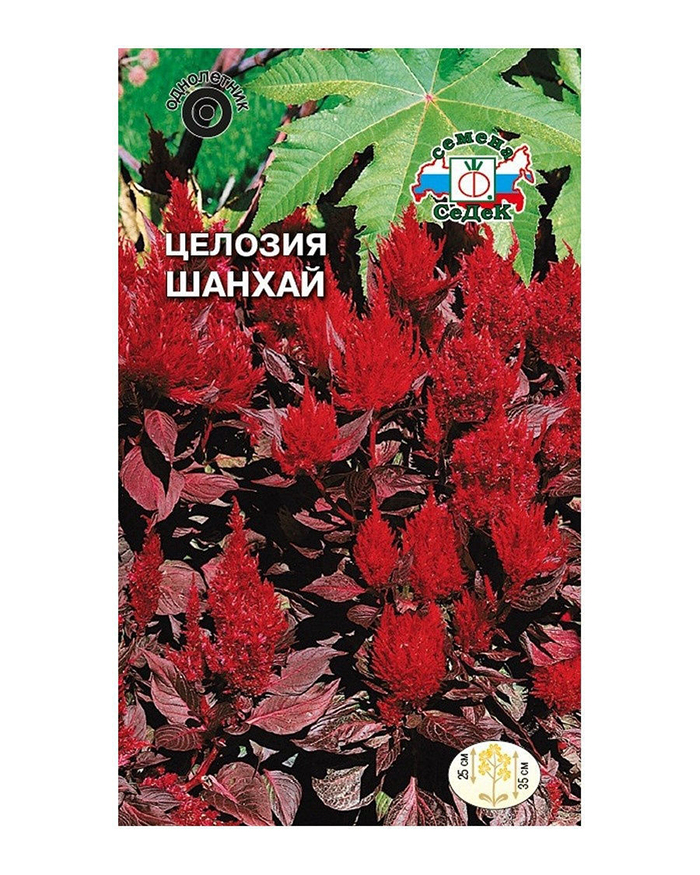 Купить Семена Алый Сахар
