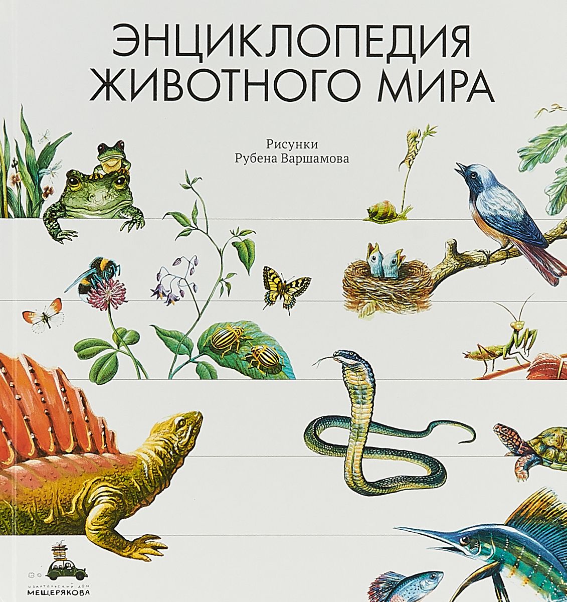 Купить Сладков Н., Яковлева И.: Энциклопедия животного мира в кредит в ...