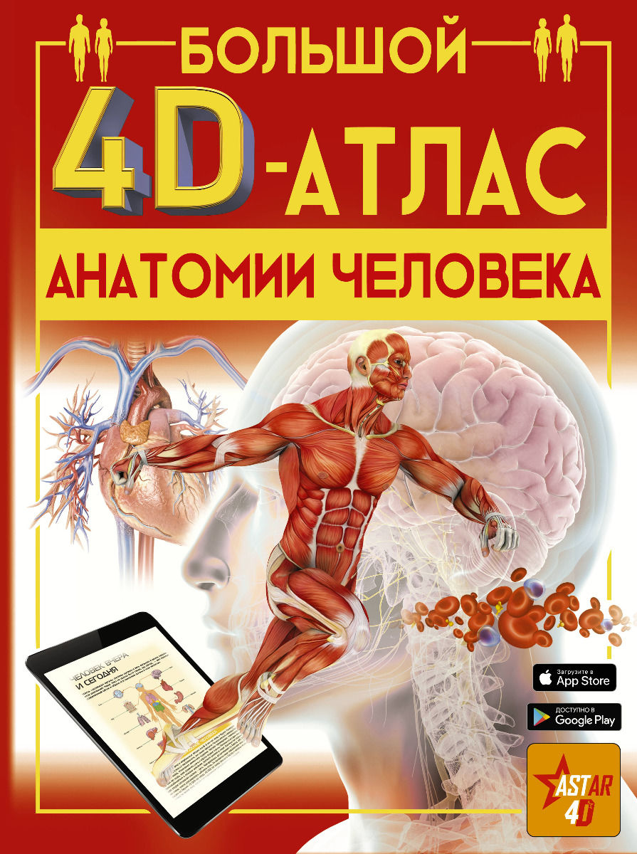Купить Спектор А. А.: Большой 4D-атлас анатомии человека в кредит в ...